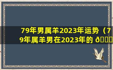 79年男属羊2023年运势（79年属羊男在2023年的 🐅 运势 🐟 和财运）